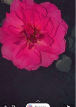 Guest_medi35