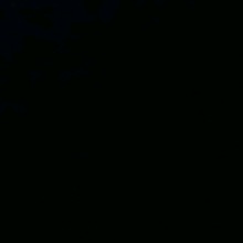 Guest_Ricardo36