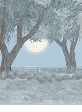 Guest_Sean011014