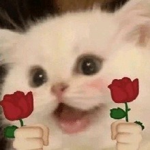 Guest_akyysmine
