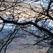 Guest_Malorie12