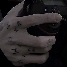 Guest_Tyler230273