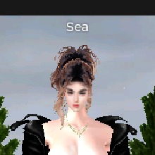 Guest_SeaBlue