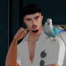 Guest_VELLO1