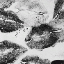 Guest_franticbixeb75