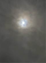 Guest_trvpstarraj3