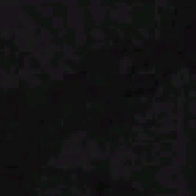 jakewalkerwave