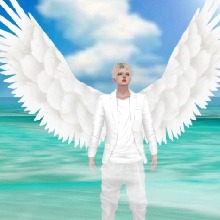 Guest_Anjo219714