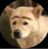 Guest_GriDex
