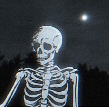 Guest_Satinisbae