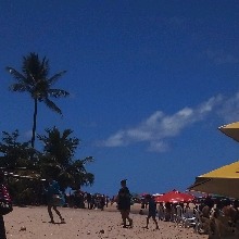 Guest_Luana670990