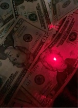 Guest_carlos151074