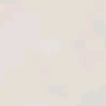 Guest_NTCK