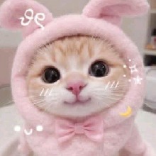 Guest_MariaFlor15744