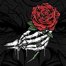 Guest_magicmintredwood7542