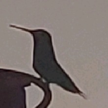 Guest_idk499002