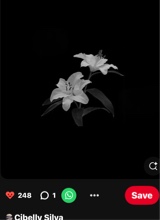 Guest_clarae