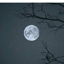 Guest_Yoshua25