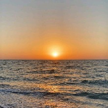 Guest_laisinhane2302
