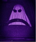 Guest_fhfy
