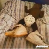 Guest_StopBanningMeVu1
