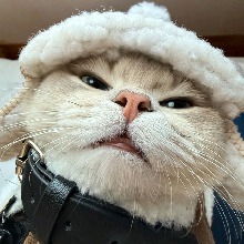 Burz