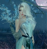 Guest_celest46