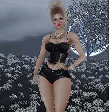 Guest_Viihdyras