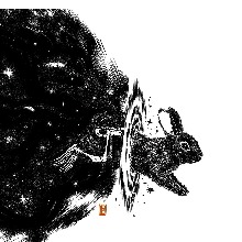 Guest_Rabbitbites