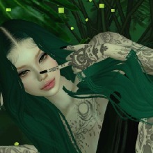 Guest_Adrian834773