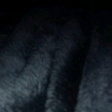 Guest_Nevaeh867433