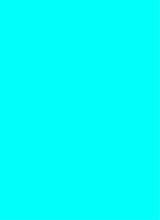 Guest_richmaroonpinegr3590