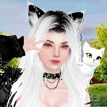 Guest_Strpv05