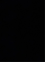 Guest_adoreeeTyty1