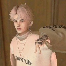 N33