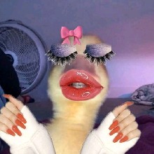 Guest_Karolay18