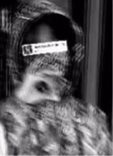 Guest_Cam10k5