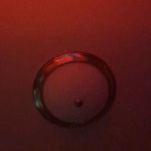 Guest_Alex979951