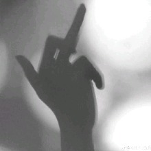 Guest_Mayte111583