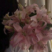 Guest_Hi587621