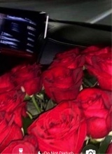 Guest_celeste966695