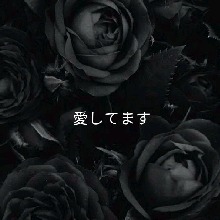 Guest_B486572