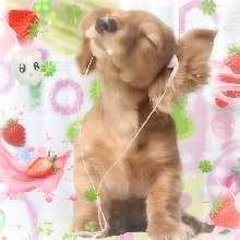 Guest_Bernadette6