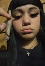 gvoz