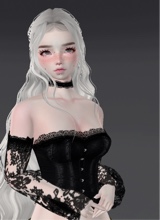 Guest_Ardilla2