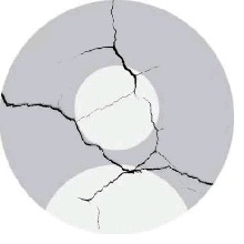 immagine avatar