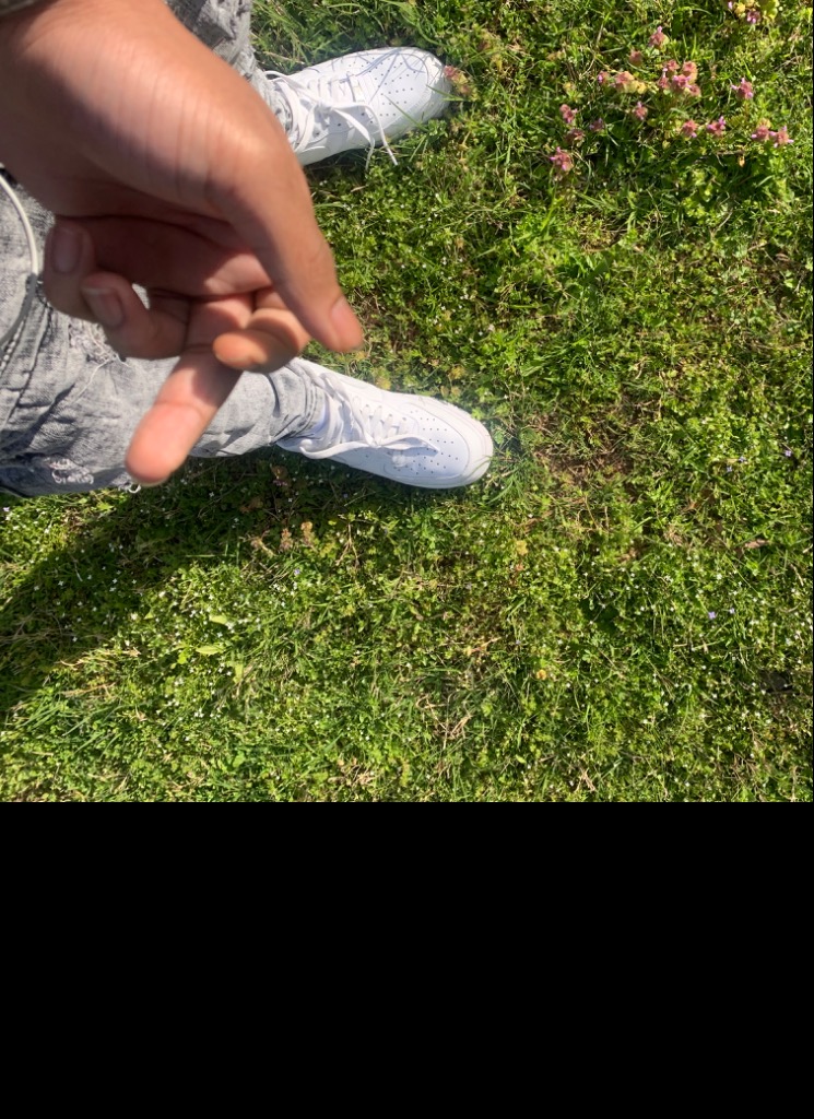 Guest_Glazerboy