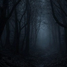 Guest_eddey3