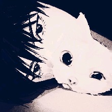 Guest_XyAngel