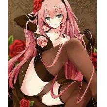 Elymra